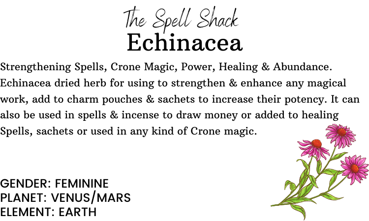 Échinacée - 8gr