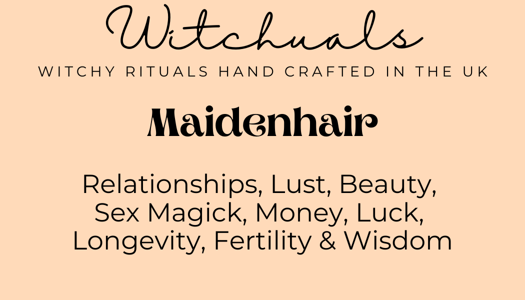 Cheveux de Vénus (Maidenhair) - 6.5gr