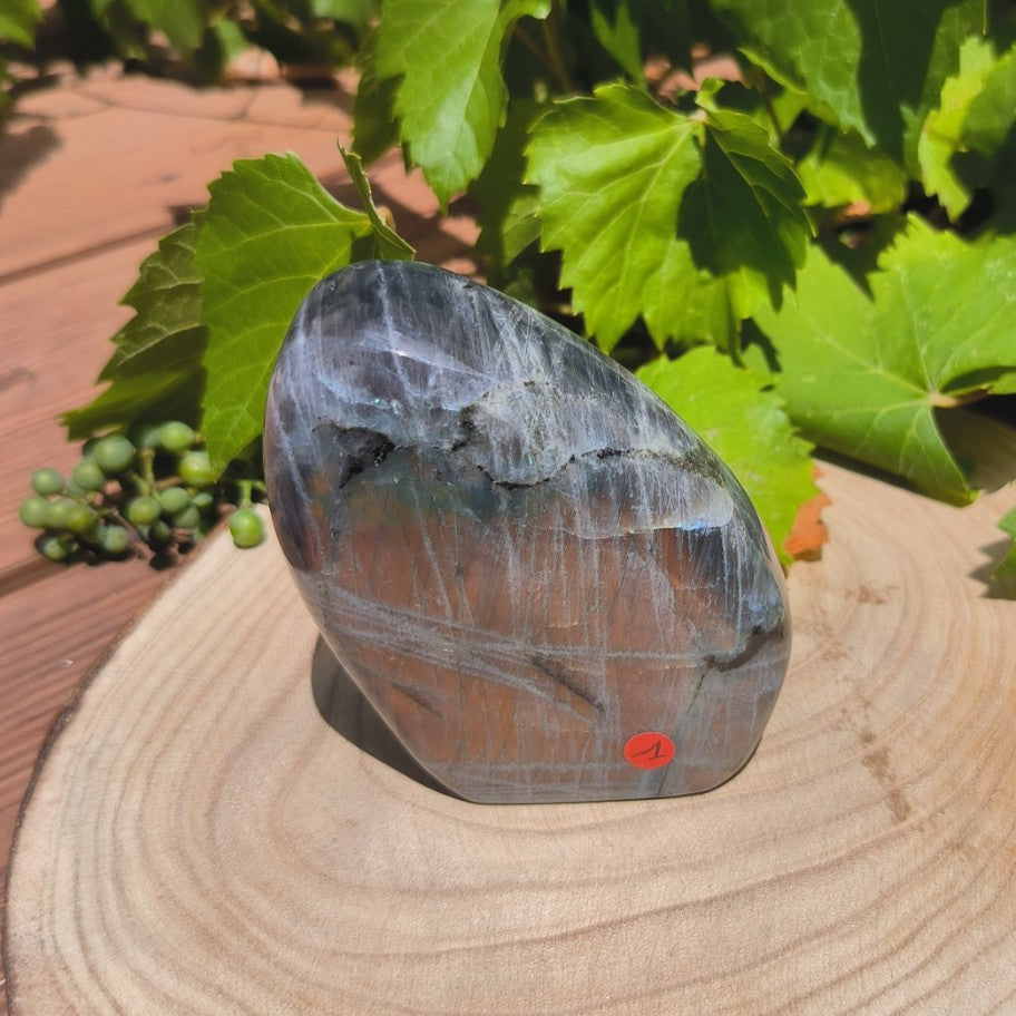 Labradorite violette - Forme libre n°1