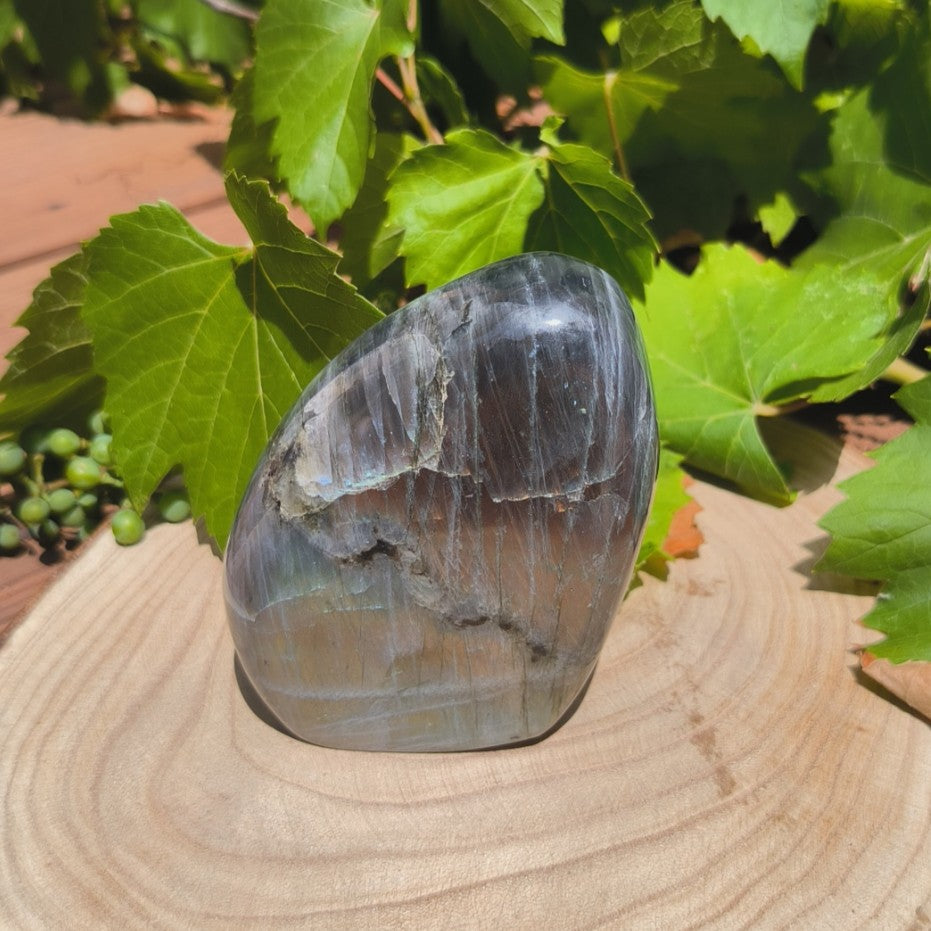 Labradorite violette - Forme libre n°1