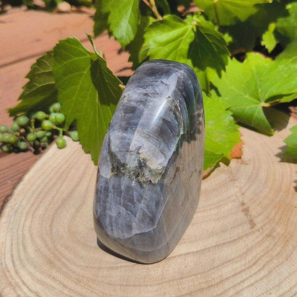 Labradorite violette - Forme libre n°1