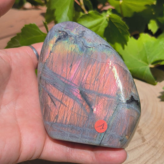 Labradorite violette - Forme libre n°1