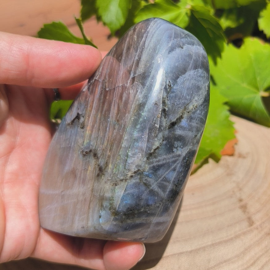 Labradorite violette - Forme libre n°1