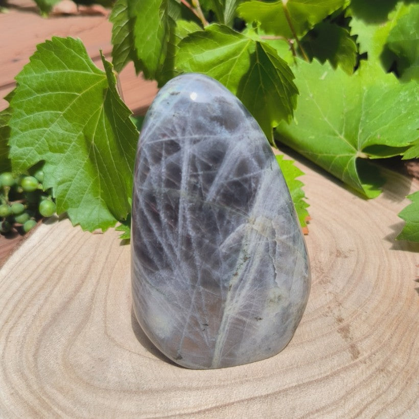 Labradorite violette - Forme libre n°2