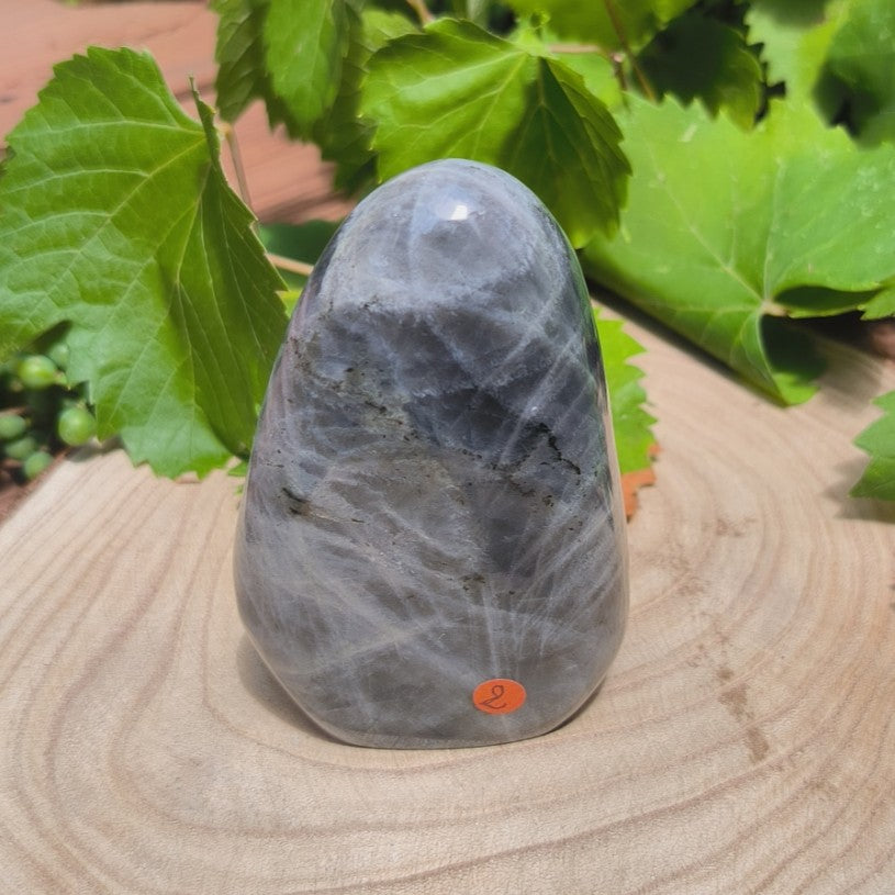 Labradorite violette - Forme libre n°2