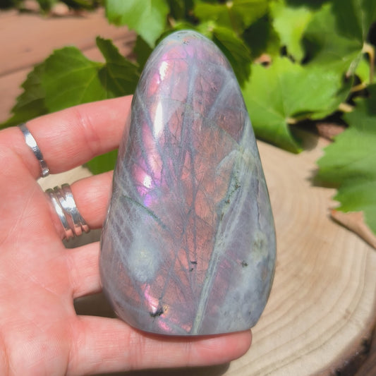 Labradorite violette - Forme libre n°2