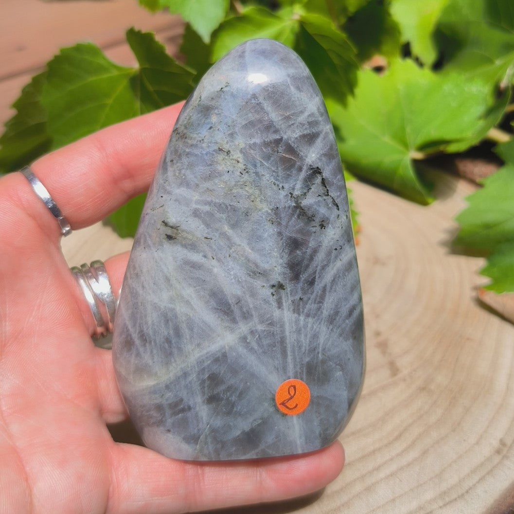 Labradorite violette - Forme libre n°2
