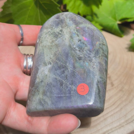 Labradorite violette - Forme libre n°3