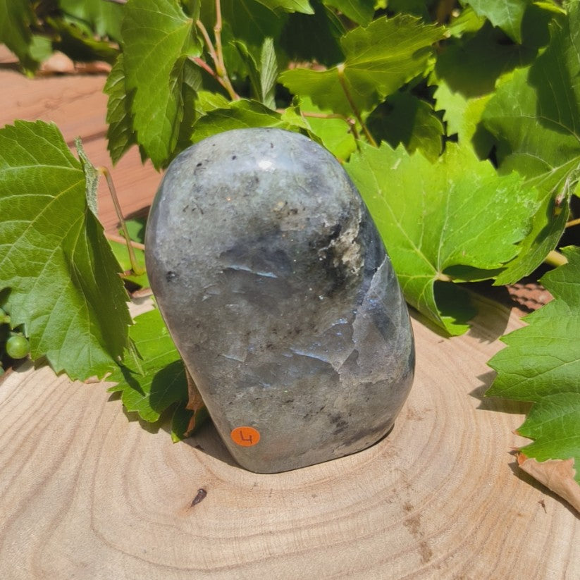 Labradorite violette - Forme libre n°4
