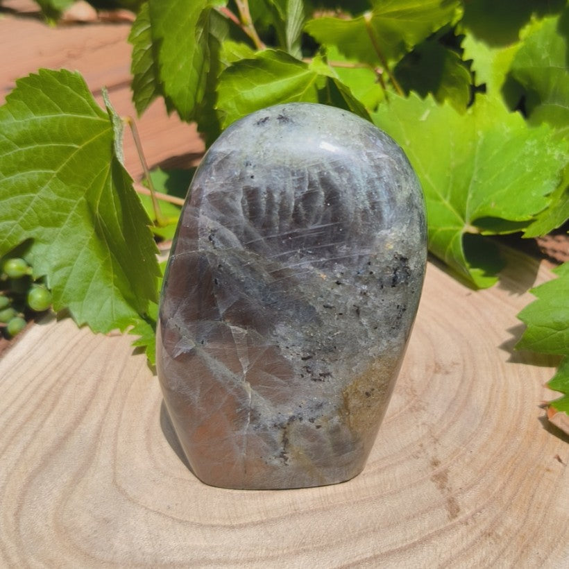 Labradorite violette - Forme libre n°4