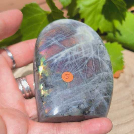Labradorite violette - Forme libre n°5