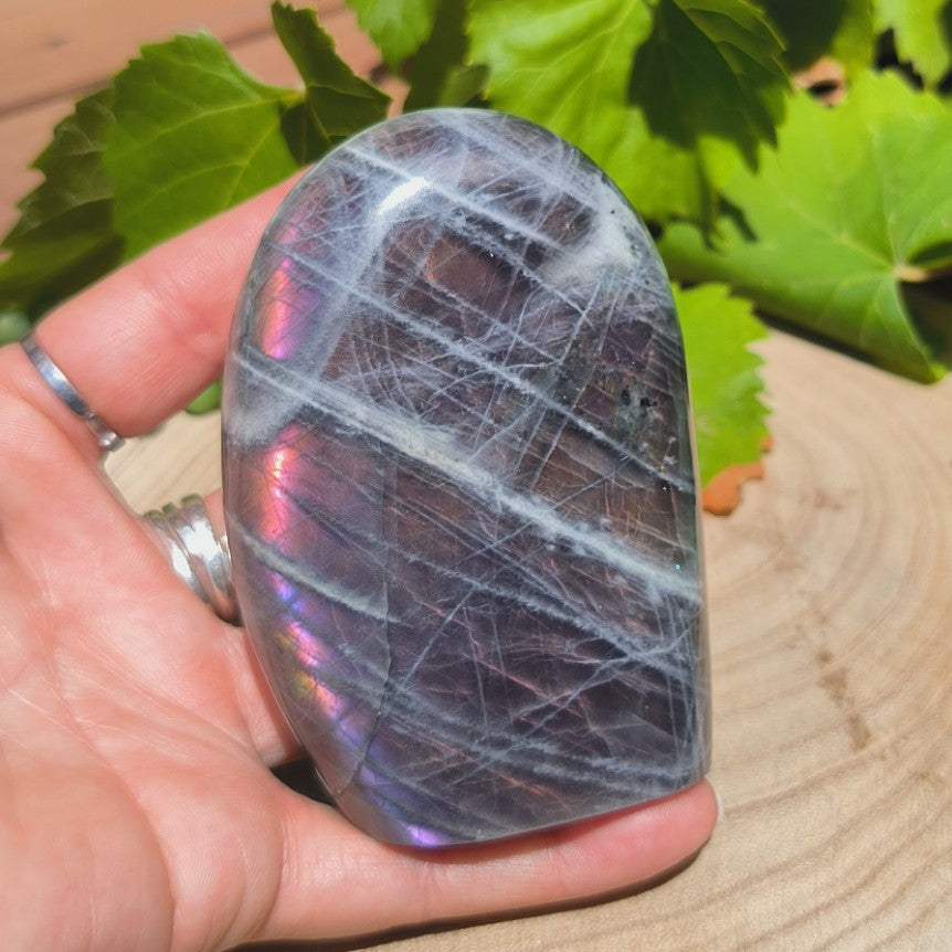 Labradorite violette - Forme libre n°5