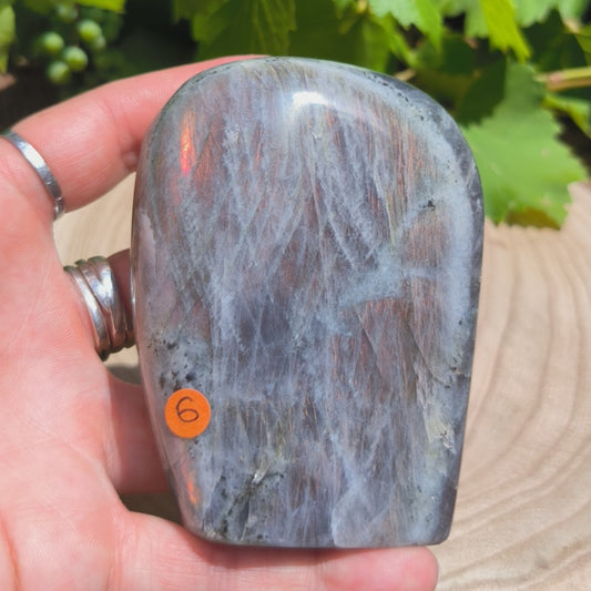 Labradorite violette - Forme libre n°6