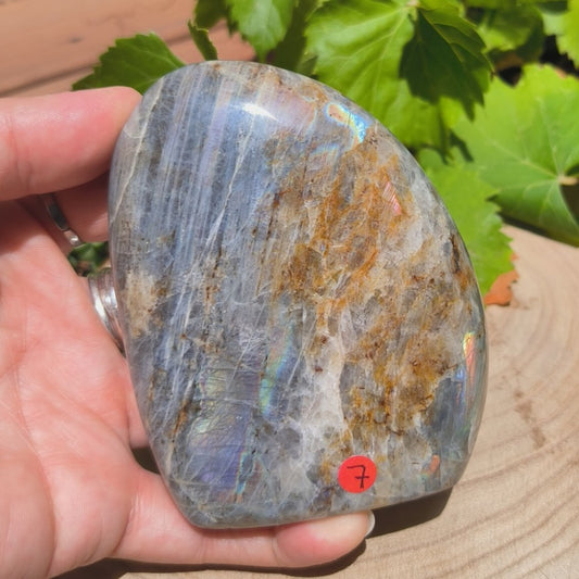 Labradorite violette - Forme libre n°7