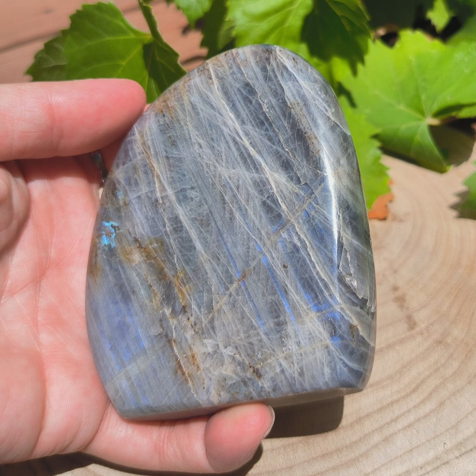 Labradorite violette - Forme libre n°7