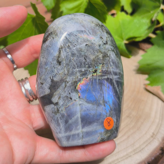 Labradorite violette - Forme libre n°8
