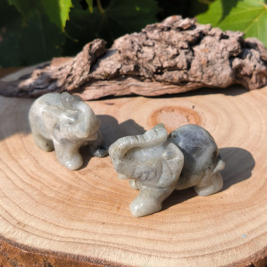 Éléphant en Labradorite - 50 mm