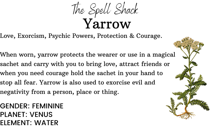 Achillée (Yarrow) - 7gr