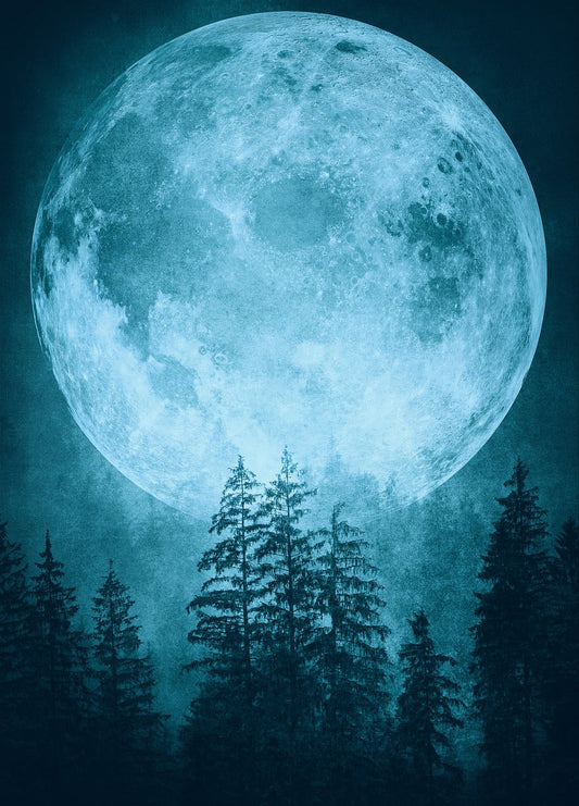Nouvelle lune en Lion - 24 Juillet 2025