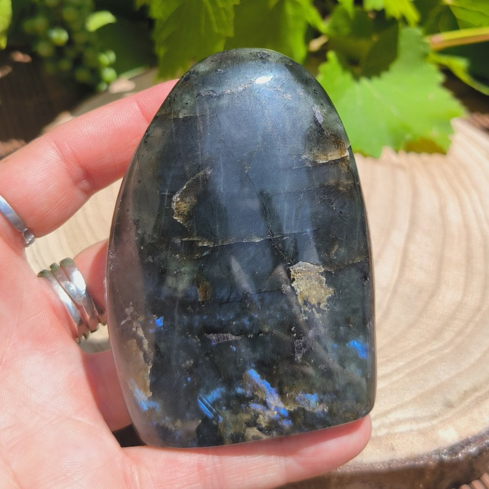 Labradorite bleue - Forme libre n°3