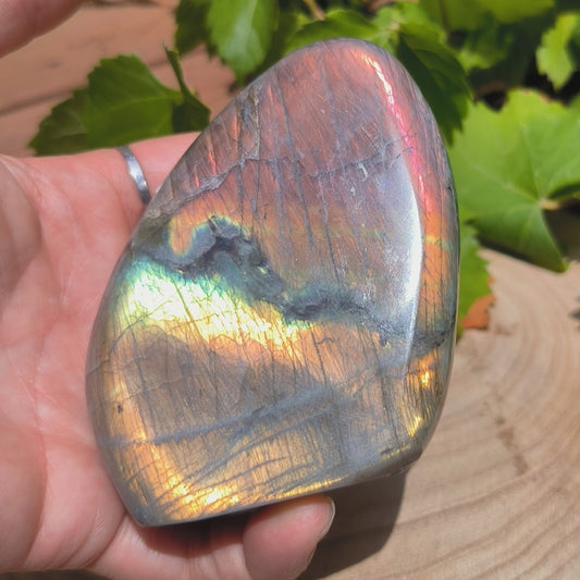 Labradorite violette - Forme libre n°1