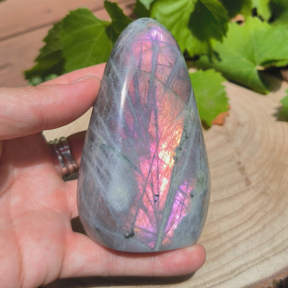 Labradorite violette - Forme libre n°2