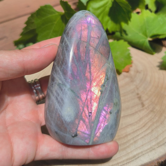 Labradorite violette - Forme libre n°2