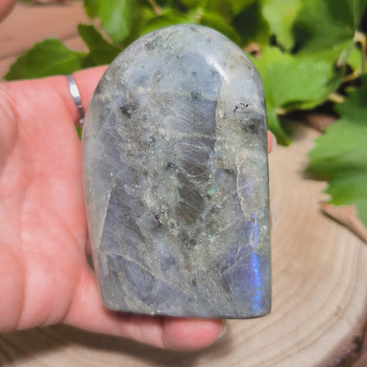 Labradorite violette - Forme libre n°3