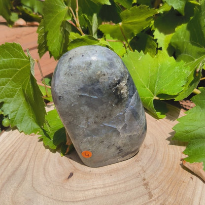 Labradorite violette - Forme libre n°4