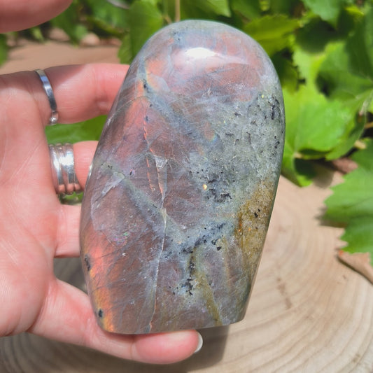 Labradorite violette - Forme libre n°4