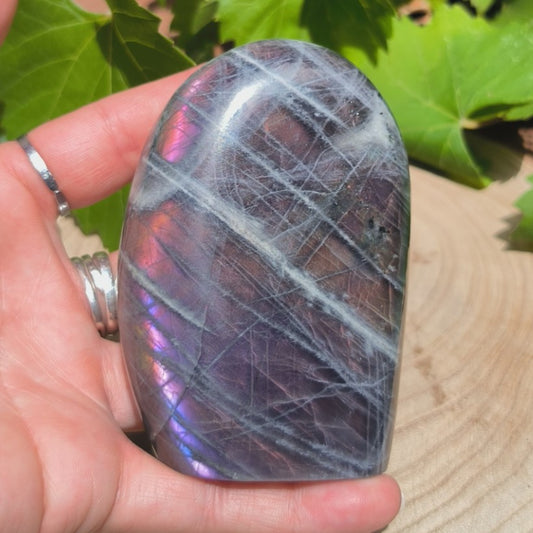 Labradorite violette - Forme libre n°5