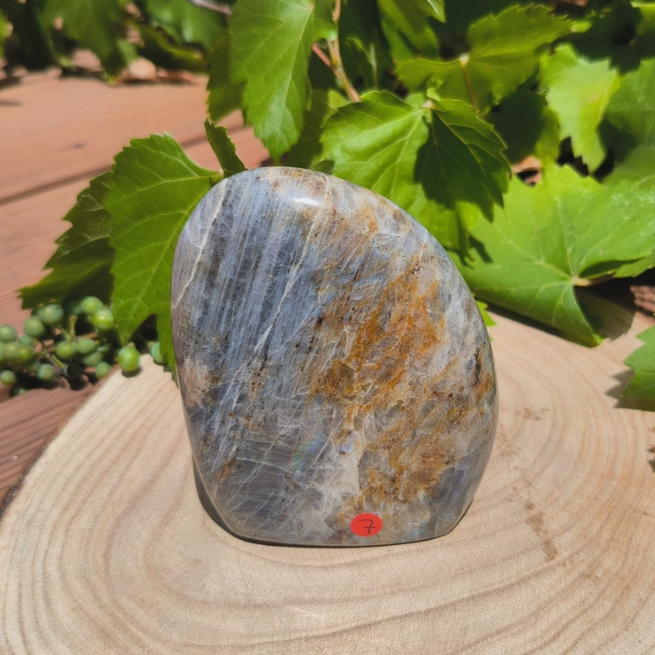 Labradorite violette - Forme libre n°7