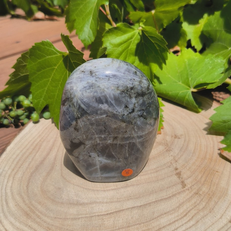 Labradorite violette - Forme libre n°8