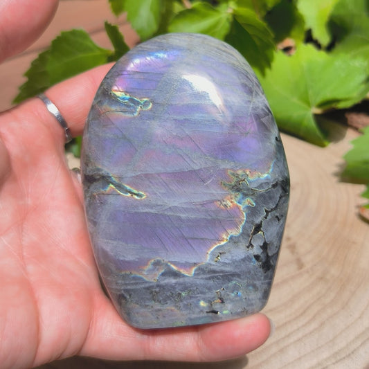 Labradorite violette - Forme libre n°8