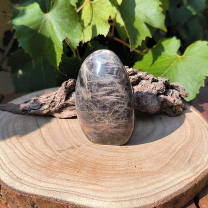 Pierre de Lune Noire - Forme libre N°1 - 239g